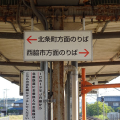 蠢々法華