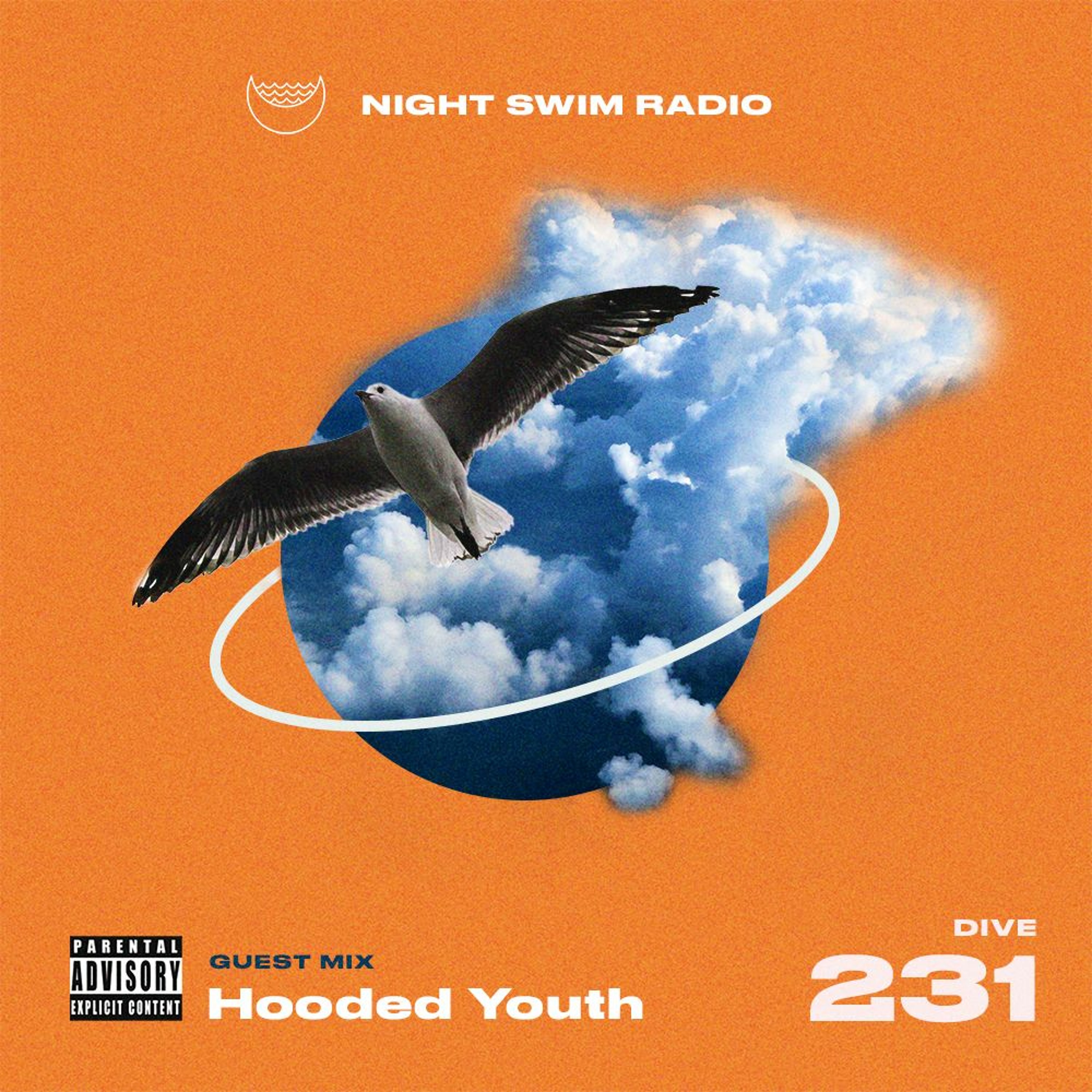 Night Swim Radio - Dive 231 ft. Hooded Youth episode artwork