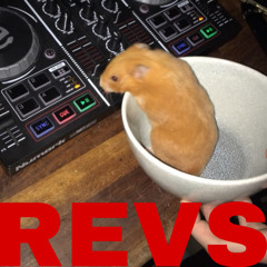 Revs underground