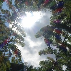 Michael Fischer | Meet & Greet Oktober 2021