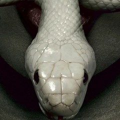 Bio - RaM Vs Sick Butcher - Vakuum [INDUSTRIAL]