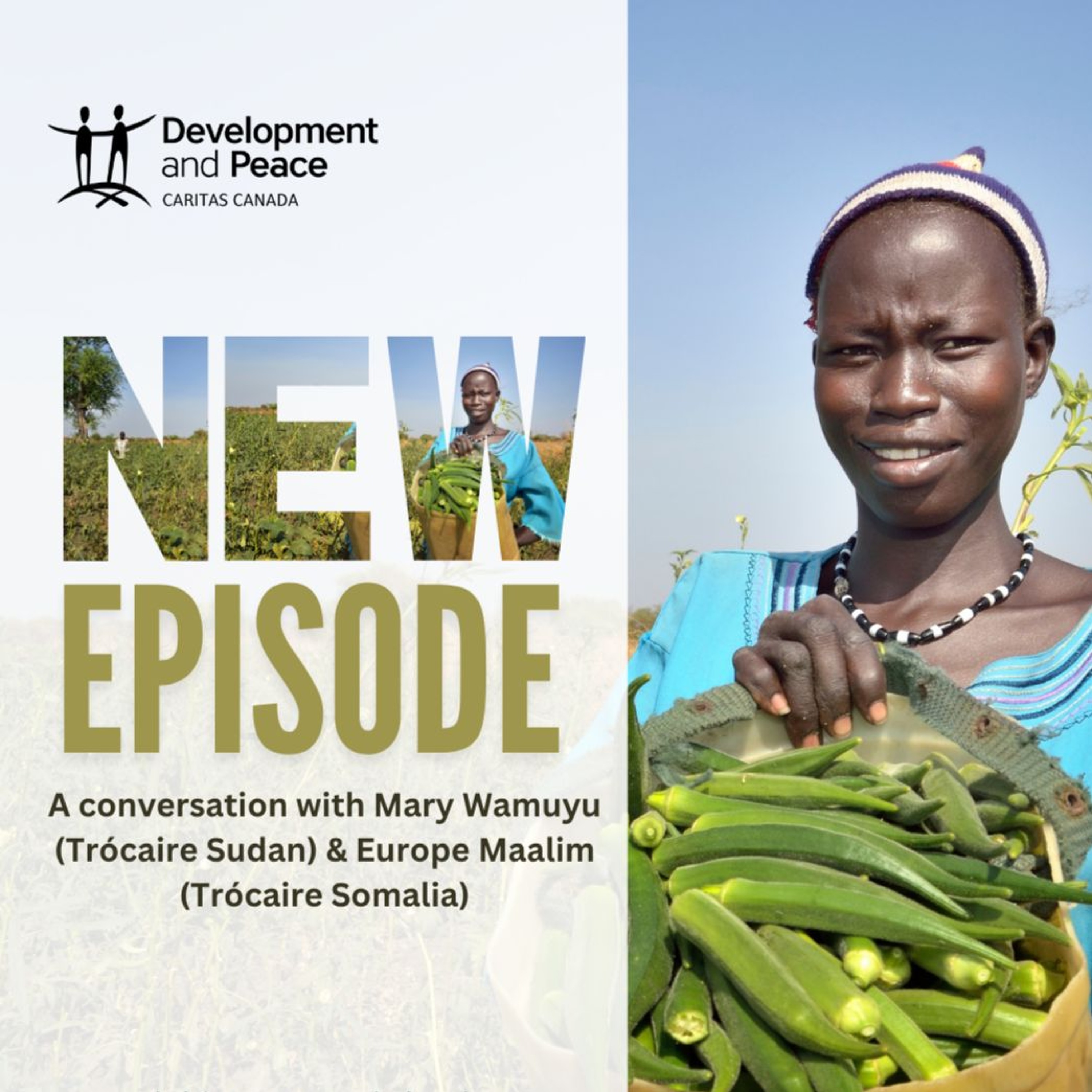 A conversation with Trocaire Somalia and Sudan episode artwork