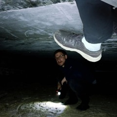 Norton Adapter - К помойке