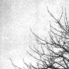 Recalcitrance: Depressant