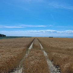 Ways Acid Hardfloor Style