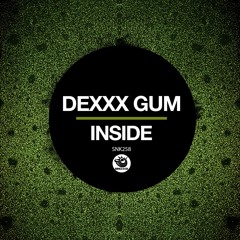 Dexxx Gum - Inside (Original Mix) - SNK258