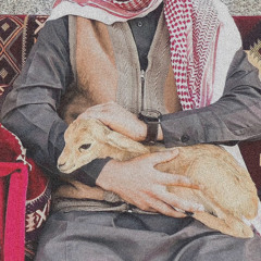 "كم حاجةٍ رغبتي فيها"