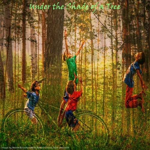 Under the Shade of a Tree