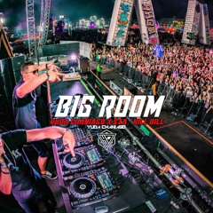 Bigroom Mix New
