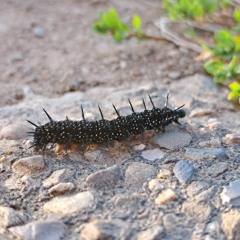 Im not afraid in my mind2.wav