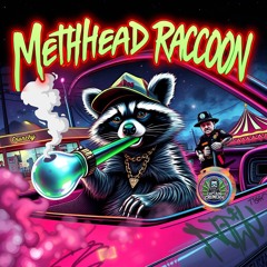 Methhead Raccoon
