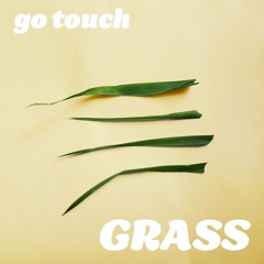 Touch Grass