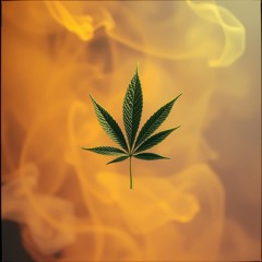 v6-1 Babylon's Nose.mp3