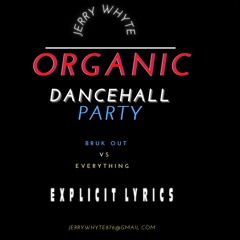 ORGANIC DANCEHALL PARTY (BRUK OUT VS EVERYTHING) [EXPLICIT MIX)