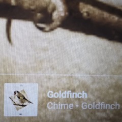 (100 Proof) GOLDFINCH by Chime RAP COVER