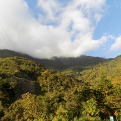 Shes Not The Only One I Know