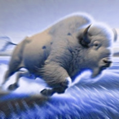 Running With The White Buffalo (11/14/25)  A Long Run