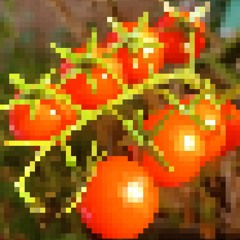 Cherry Tomatoes [Famitracker 2a03]