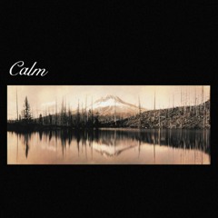 Calm - Sign Crushes Motorist demo (Duster)