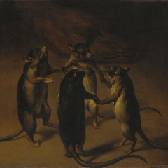 rat 4 rat (prod abalonegray)