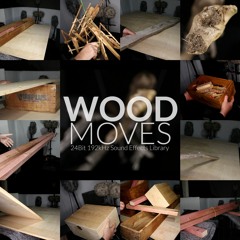 WOOD MOVES Preview 1 Plywood Sheet
