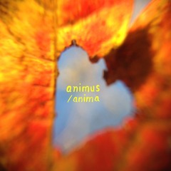 Animus/Anima