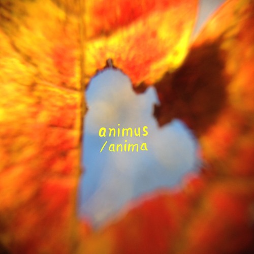 Animus/Anima
