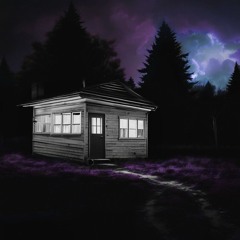 Where I've Been (prod Zxlda)