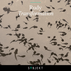 Rudy - Transformation [OUT NOW]