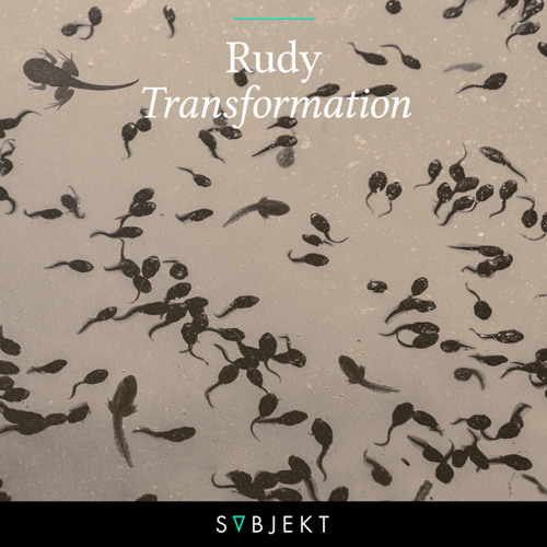 Rudy - Transformation [OUT NOW]