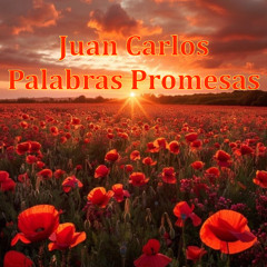 Palabras Promesas