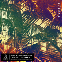 Tigerskin - Heatseeker (Original Mix)