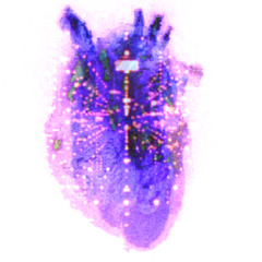 n10.as x pulsating (EBM, Electropunk, Industrial, Techno)