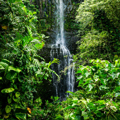 The wonders of Earth