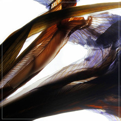 The Jack Wood - Prophecy