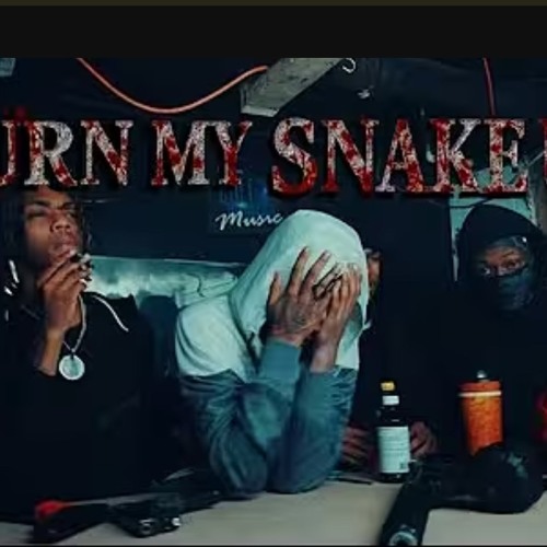 GBG Vmonie - Turn My Snake Up