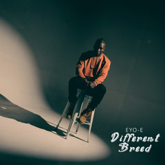 Different Breed