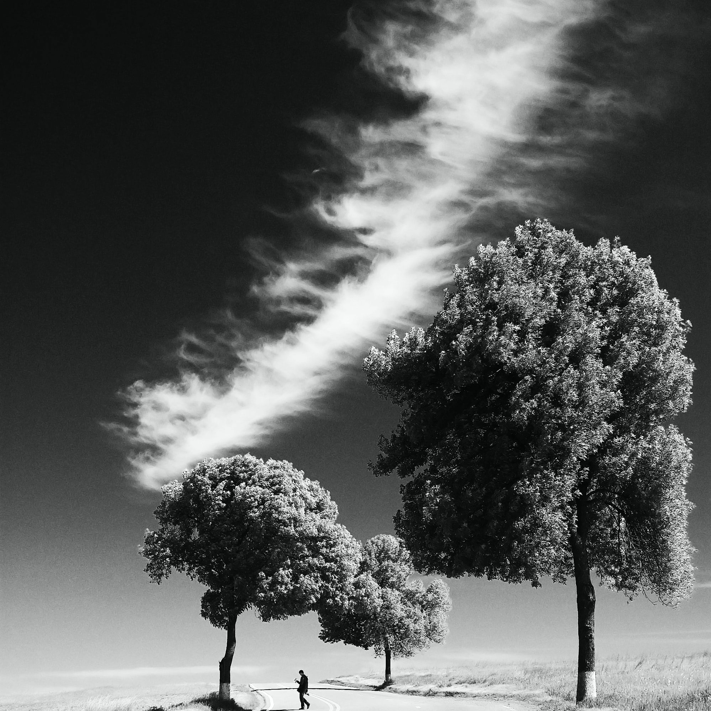 Haunted Fields