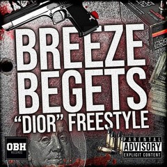 Breeze Begets - Dior Freestyle