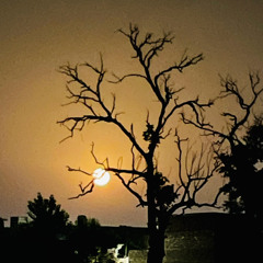 Meena Ao Sakoon Ghwaram