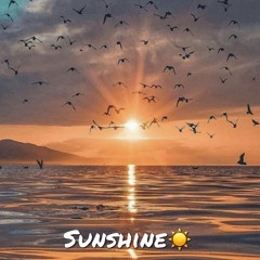 Sunshine -Playboi Robby [Mixed by.813Marvin B.]