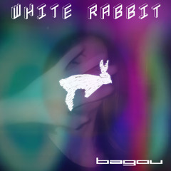 white rabbit
