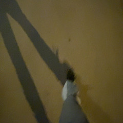 movelikeaboss! prod. ayozahli