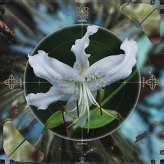 CRUDE Premiere: Smogo - Submit To The Forest