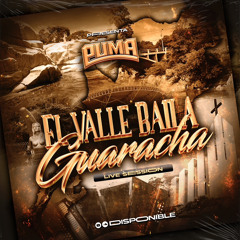 EL VALLE BAILA GUARACHA - MIXED BY PUMA DJ