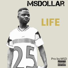 Life by MSDollar.m4a