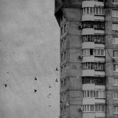 Olbee - Монохром