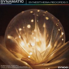 Synematic - Never Know [SYN061]