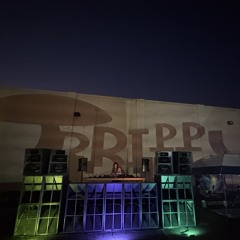 Trippy Britty Bass Mix