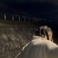 明日は君に会える夜